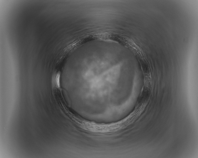 X0000113640047200909181505