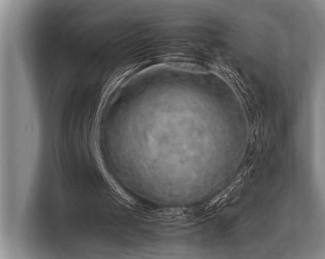 X0000113640049200909181505