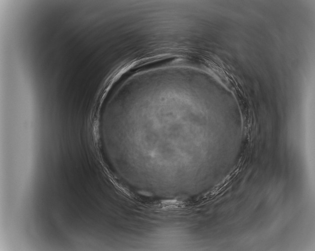 X0000113640050200909181505