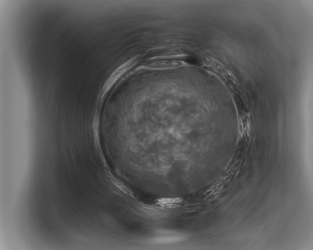 X0000113640051200909181505