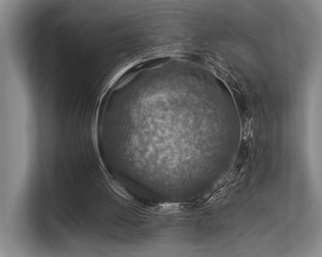 X0000113640052200909181505