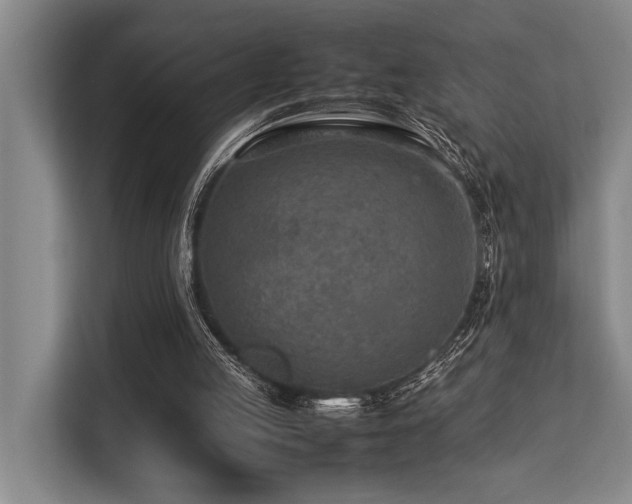 X0000113640053200909181505