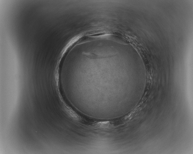 X0000113640054200909181505