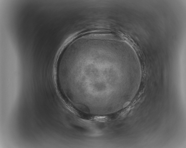 X0000113640055200909181505