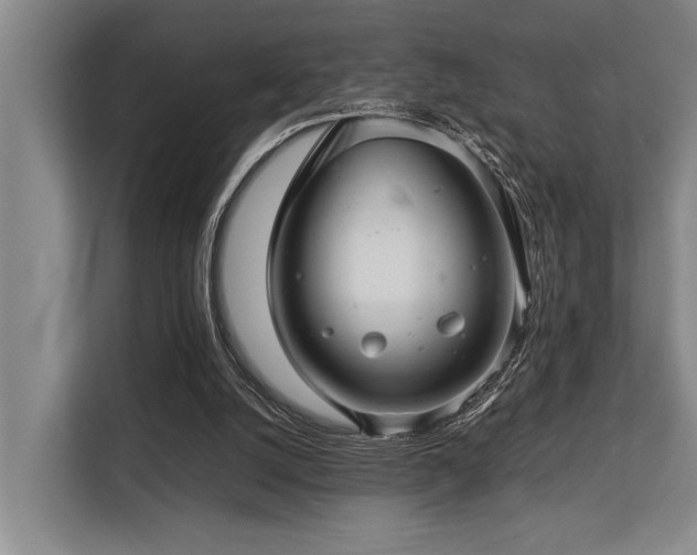 X0000113640056200909181505