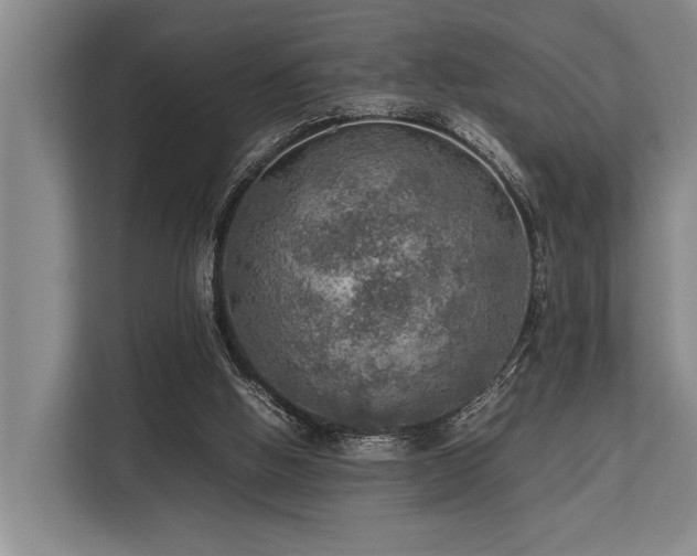 X0000113640058200909181505