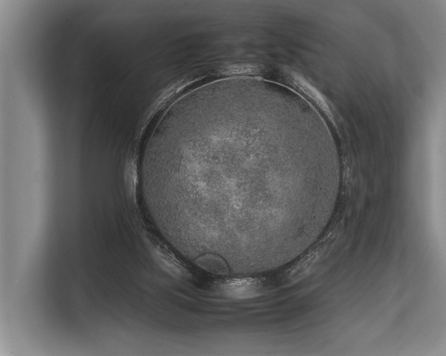 X0000113640059200909181505