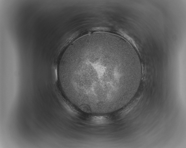 X0000113640061200909181505