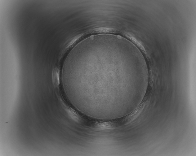 X0000113640062200909181505