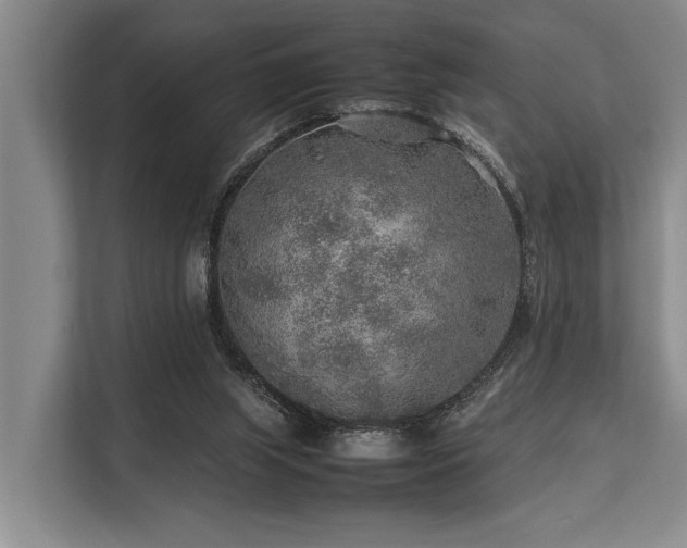 X0000113640063200909181505