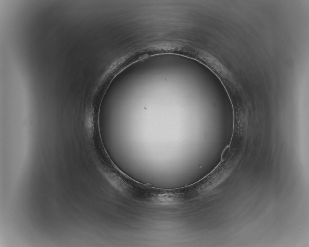 X0000113640064200909181505