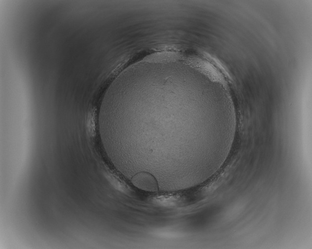 X0000113640065200909181505