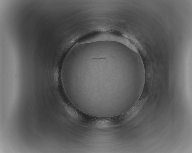 X0000113640066200909181505