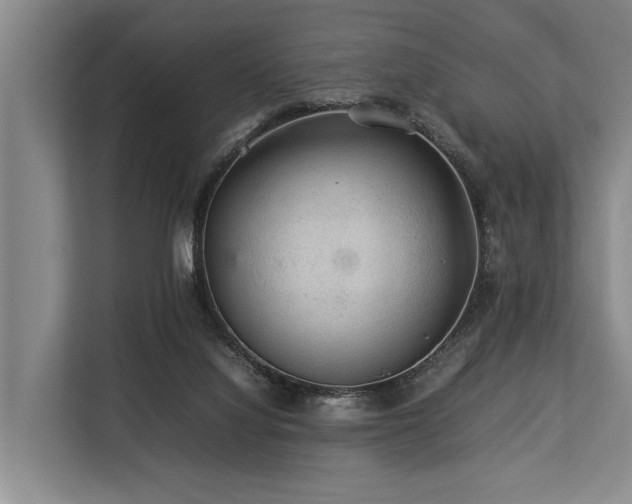 X0000113640068200909181505