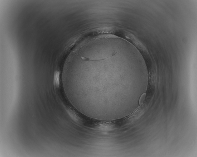 X0000113640070200909181505