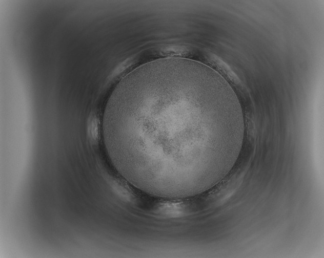 X0000113640071200909181505