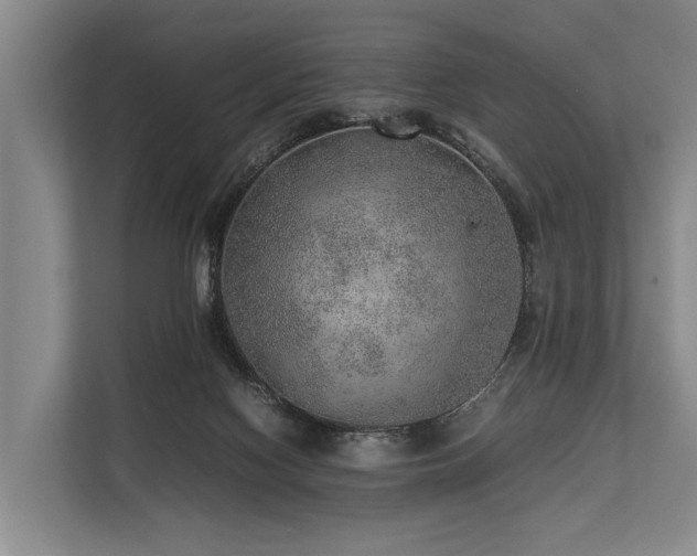 X0000113640074200909181505