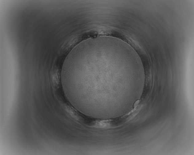 X0000113640078200909181505