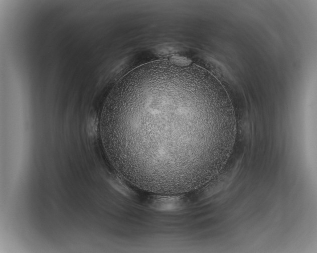 X0000113640081200909181505