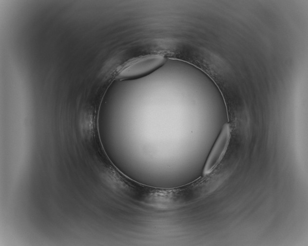 X0000113640084200909181505