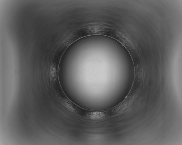 X0000113640087200909181505