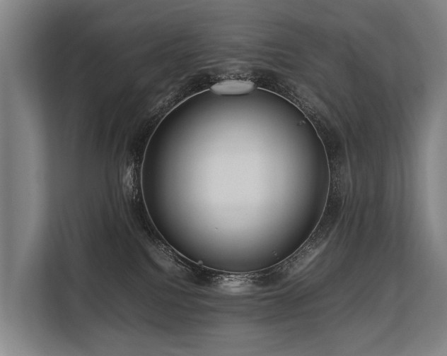 X0000113640088200909181505