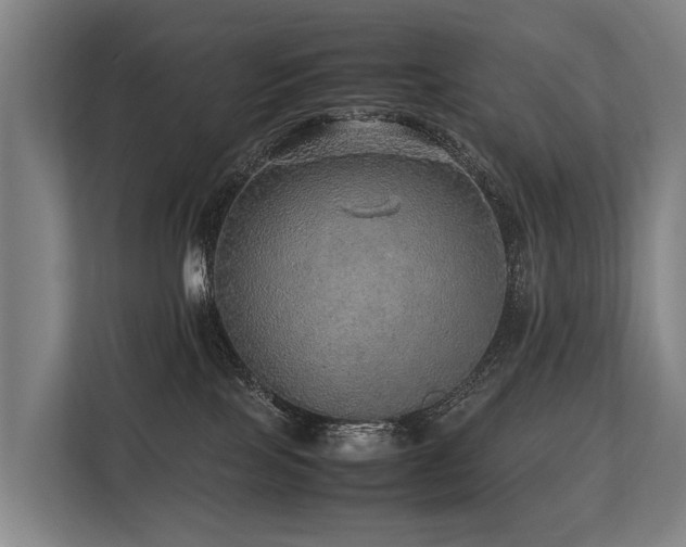 X0000113640089200909181505