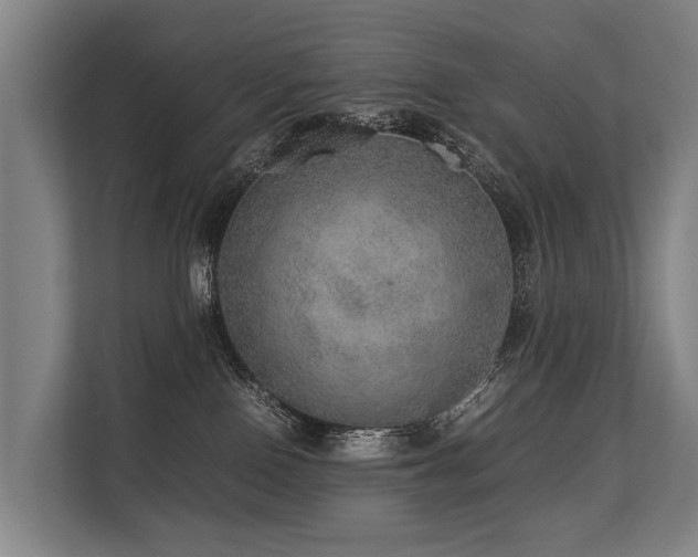 X0000113640090200909181505