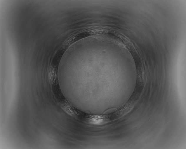 X0000113640091200909181505