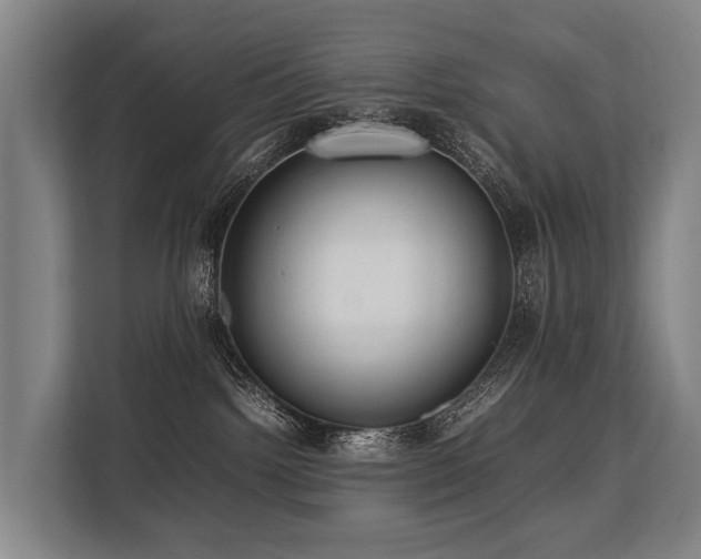 X0000113640092200909181505