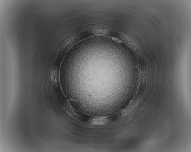 X0000113640093200909181505