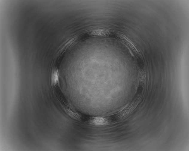 X0000113640095200909181505