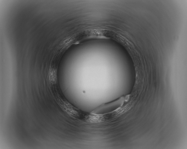 X0000113640096200909181505