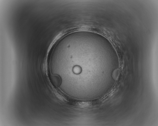 X0000113640102200909181504