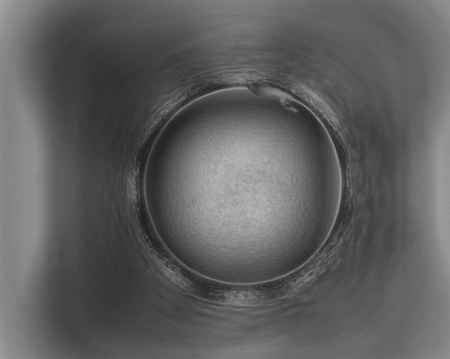 X0000113640105200909181504