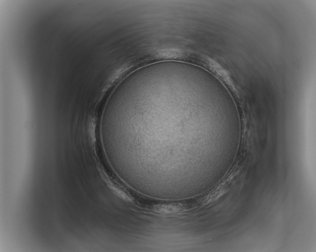 X0000113640106200909181504