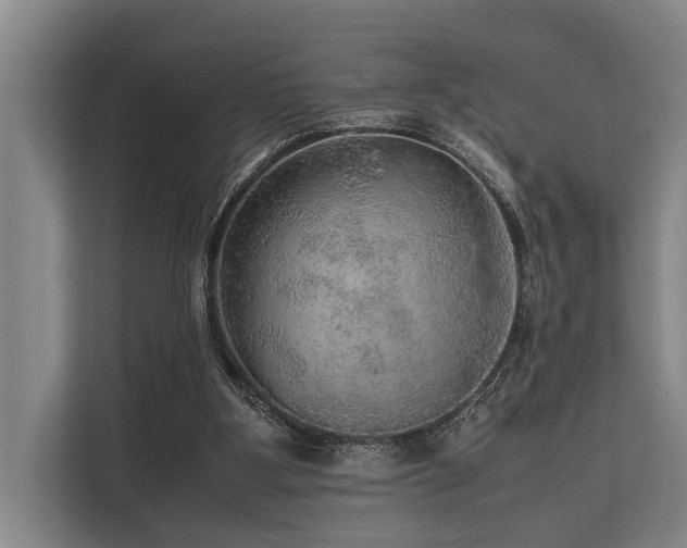 X0000113640107200909181504