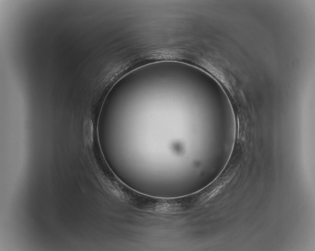 X0000113640109200909181504