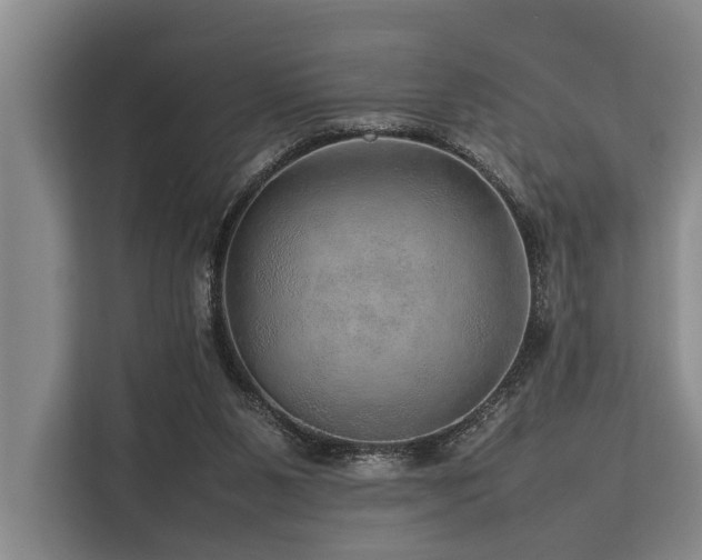 X0000113640111200909181504