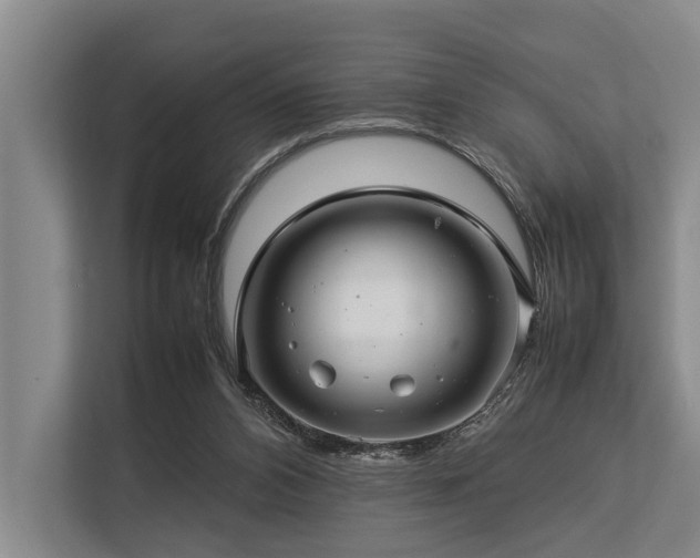 X0000113640112200909181504