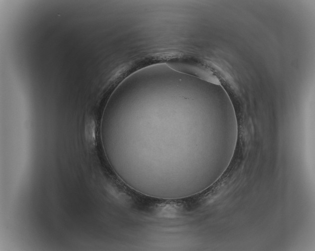 X0000113640115200909181504