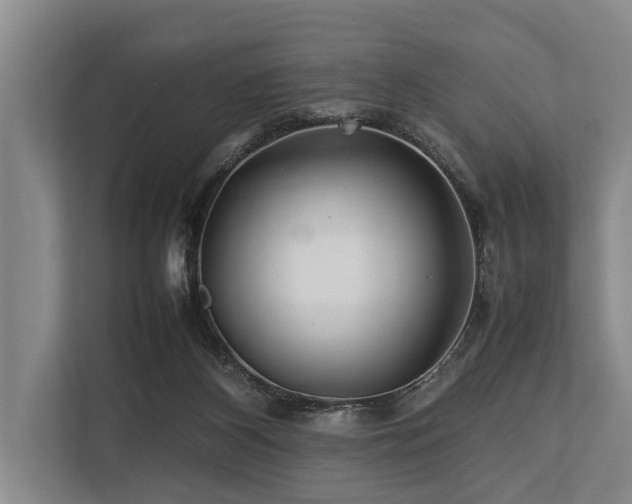 X0000113640116200909181504