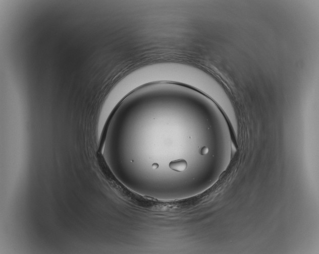 X0000113640117200909181504