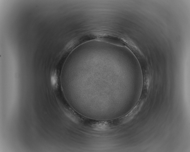 X0000113640124200909181504