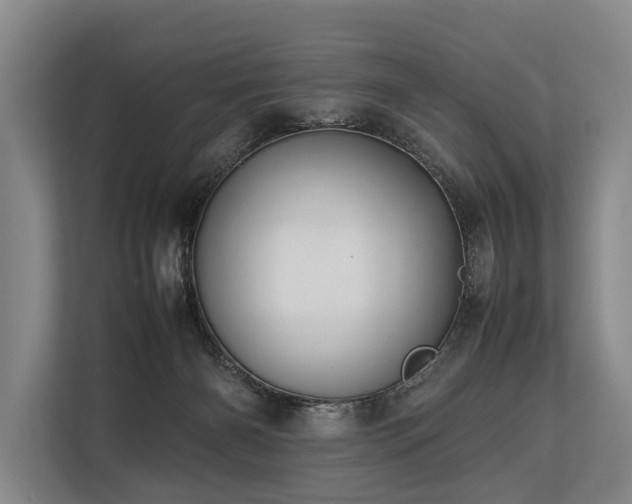 X0000113640126200909181504