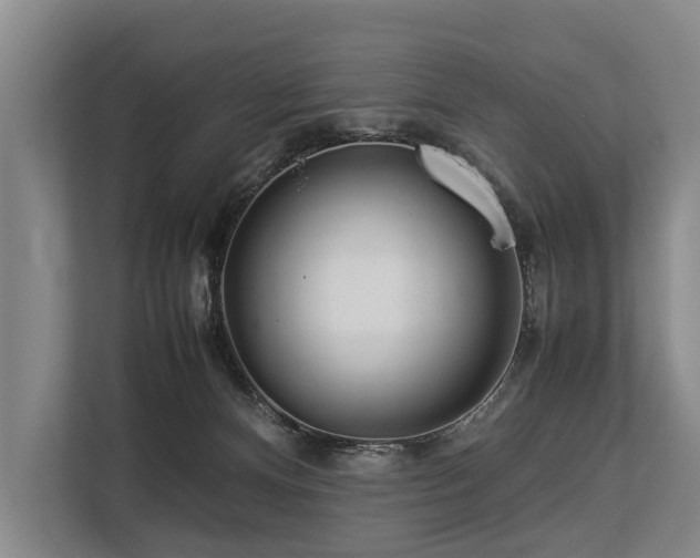 X0000113640128200909181504