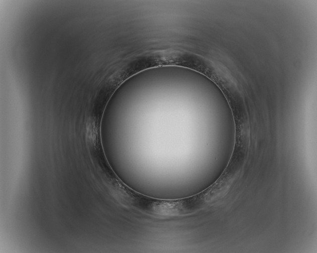 X0000113640129200909181504