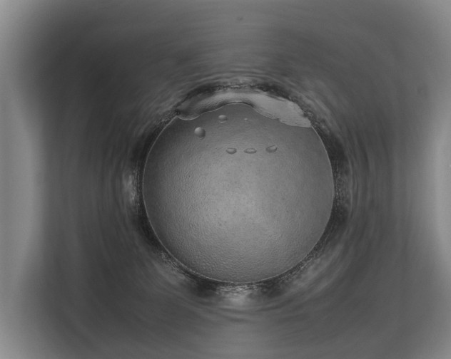 X0000113640131200909181504