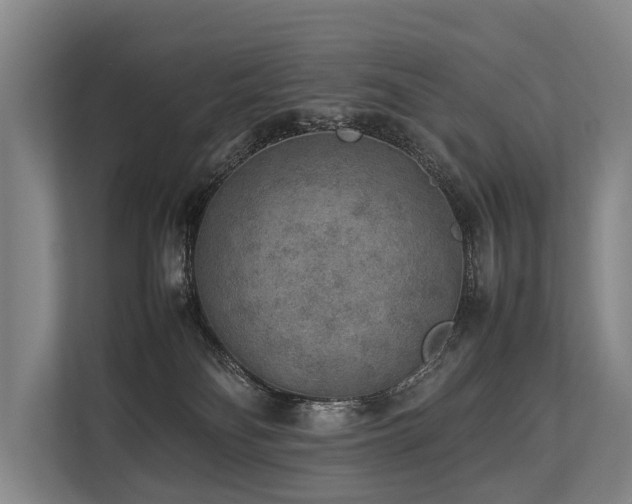 X0000113640134200909181504