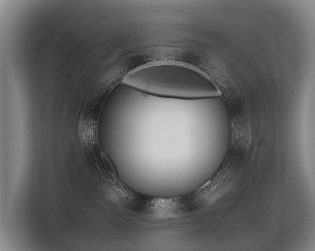 X0000113640141200909181504